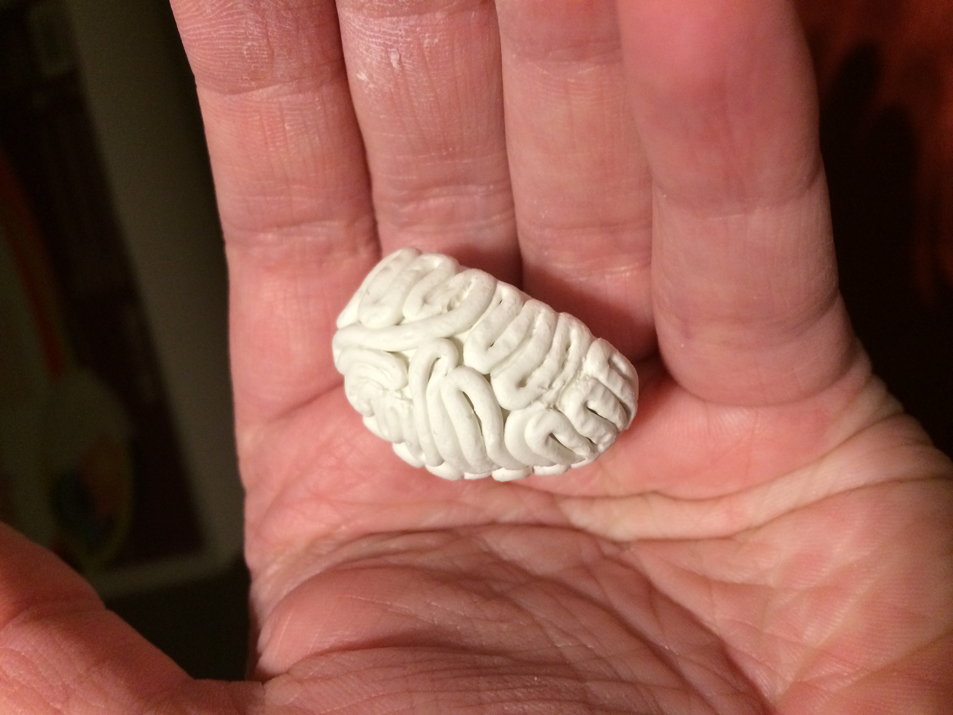 Brain necklace pendant, unfinished